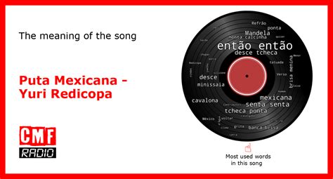 puta mexicana|The story and meaning of the song 'Puta Mexicana .